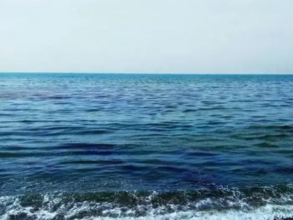 日本核廢水將排海-影響何以估量？